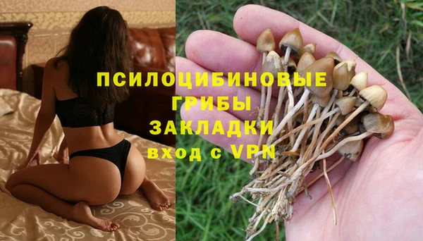 ALPHA PVP Володарск