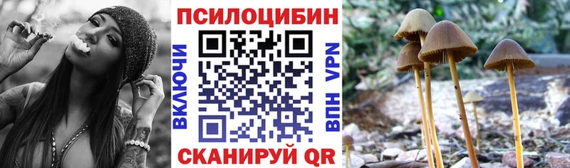 Купить закладки  Артёмовский  Псилоцибиновые грибы Magic Shrooms 