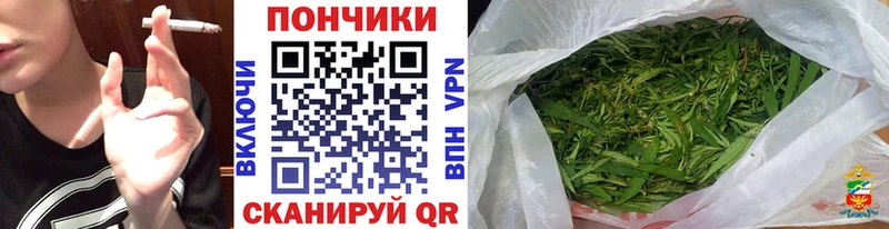 Бошки Шишки ГИДРОПОН  Купить закладки  Артёмовский 